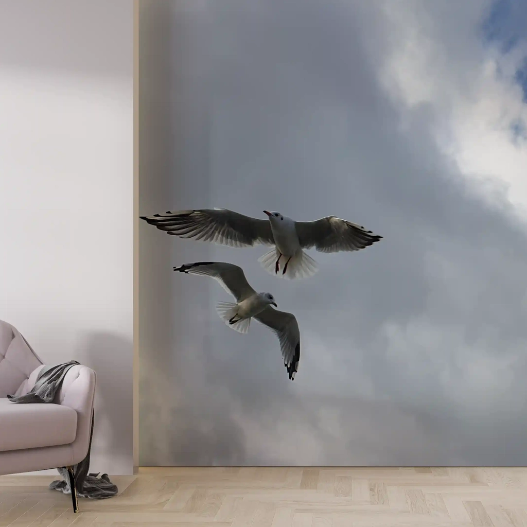 fototapetai zuvedros