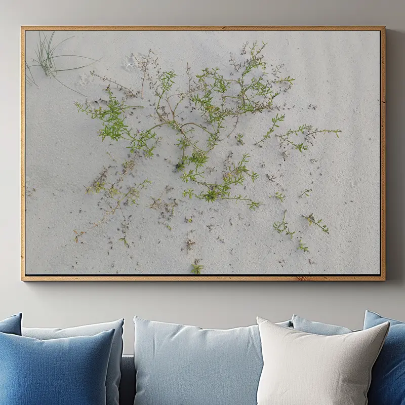 nuotraukos ant drobės