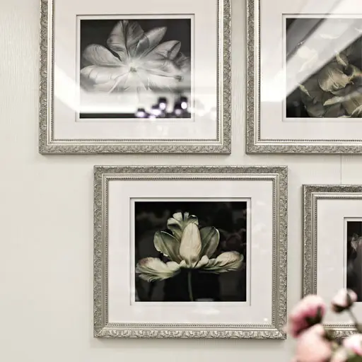 6-foto-galerija